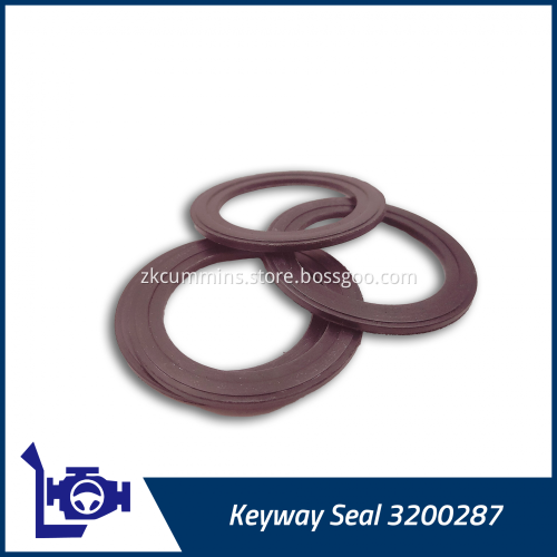 3200287 Cummins Keyway Seal